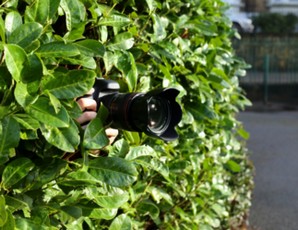 Paparazzi yaje ryari?