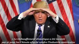 les-dix-phrases-cultes-de-donald-trump
