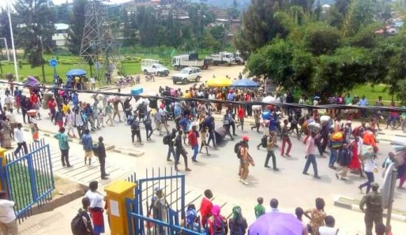 Impunzi zigaragambije