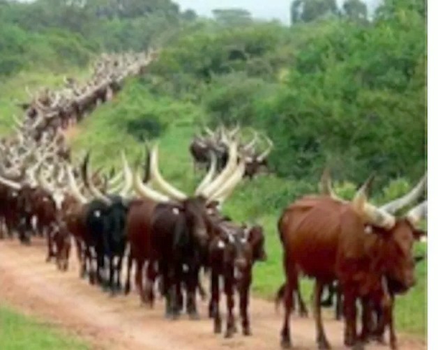 Rwanda:SEMUHANUKA na bagenzi be mu bikorwa byo kwonesha&nbsp;imyaka