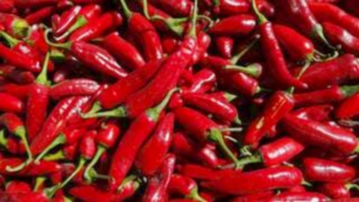 Saviez-vous que le piment rallonge votre durée de&nbsp;vie?