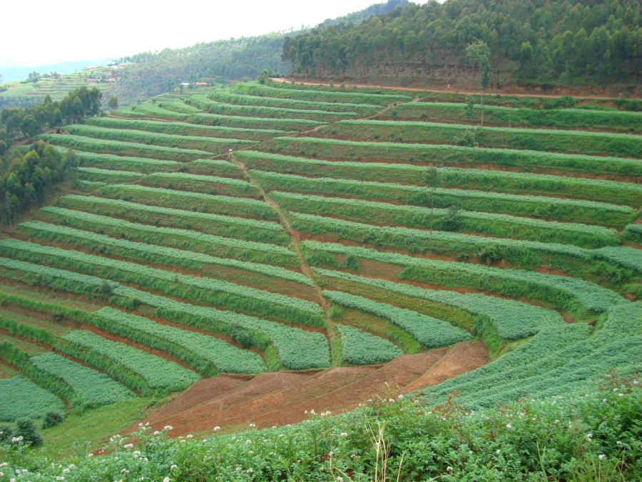 LE RWANDA ET SES PAYSAGES&nbsp;VERDOYANTS